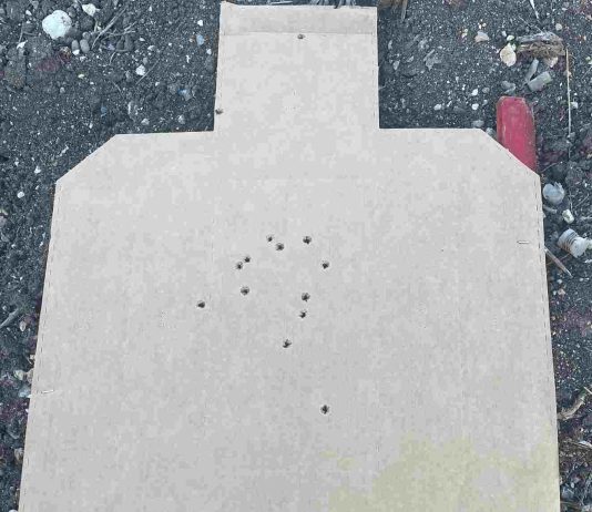 Eastridge 2.5 Second Standards | Active Response Training