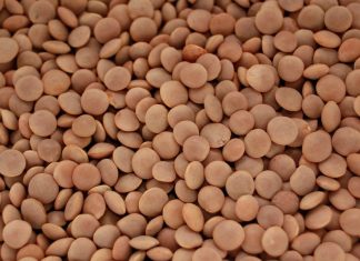 How to Store Dried Lentils (How Long Do They Last?)