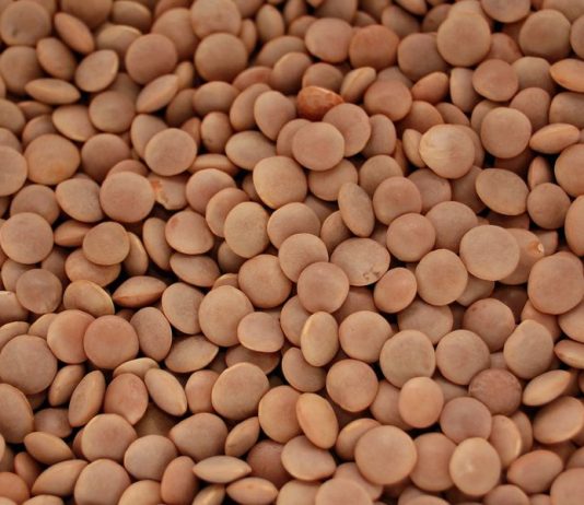 How to Store Dried Lentils (How Long Do They Last?)