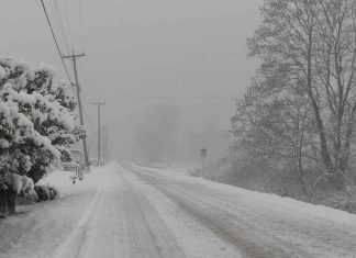 Natural Disasters in Delaware: What Is the Risk?