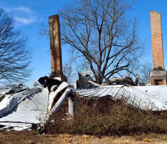Natural Disasters in Georgia: What are the Risks?
