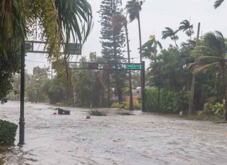 Natural Disasters in Florida: What are the Risks?