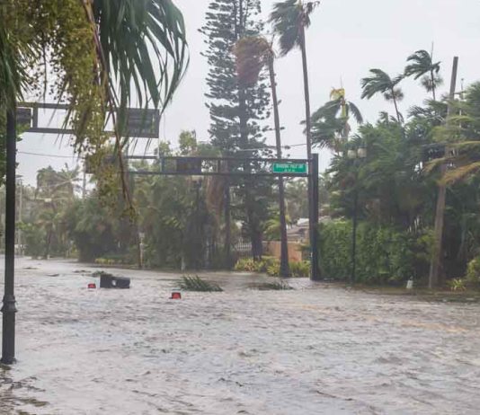 Natural Disasters in Florida: What are the Risks?