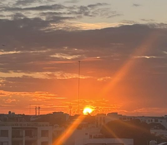 Back From Mexico | Active Response Training