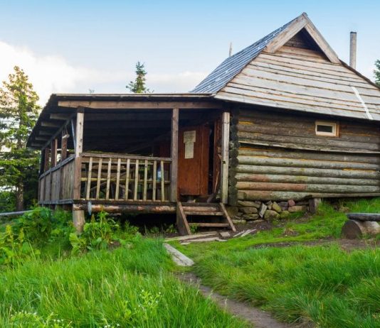 7 Efficient and Affordable Options