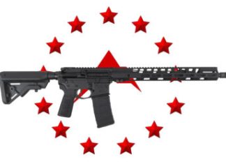 The DI RUC Rifle – Rainier Arms Urban Combat Build
