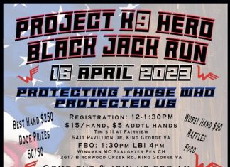 Project K9 Hero Blackjack Run