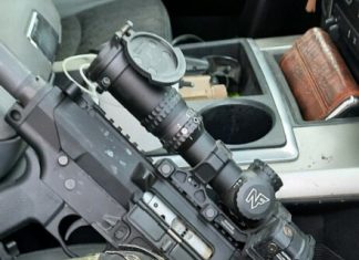 You Never Know Where They’ll Show Up