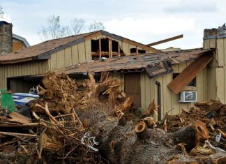 Natural Disasters in Tennessee: What Is the Risk?
