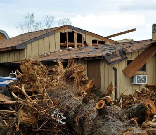 Natural Disasters in Tennessee: What Is the Risk?