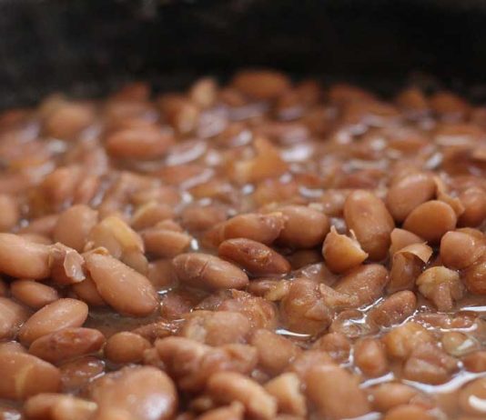 What are the Best Beans for Long Term Storage?