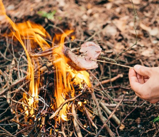 11 Types of Survival Fire for Every Situation