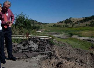 Natural Disasters in Montana: What Is the Risk?