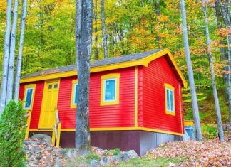 10 Options For Self Reliance