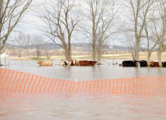 Natural Disasters in Wyoming: What Is the Risk?