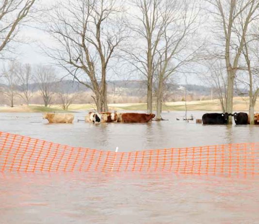Natural Disasters in Wyoming: What Is the Risk?