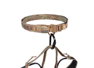 Designing a New Vertical Capability