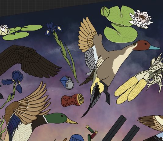 Sneak Peek – Waterfowl Blanket from Kitfox Design Group