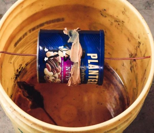 How to Make a Bucket Mousetrap (Step by Step)