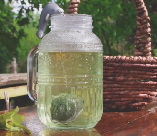 How to Make Purple Dead Nettle Tea