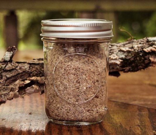 How to Make Turkey Tail Mushroom Powder (+ Benefits)