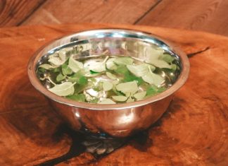 How to Clean Foraged Plants the Right Way