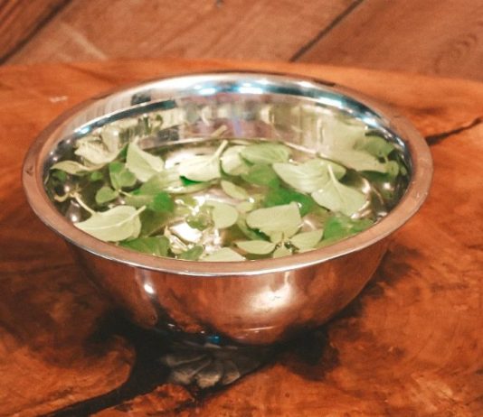 How to Clean Foraged Plants the Right Way