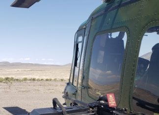 You Never Know Where They’ll Show Up