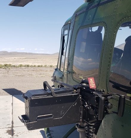 You Never Know Where They’ll Show Up