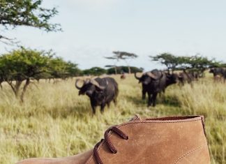 Coming Soon – Field Ethos x Jim Green Footwear African Vellie