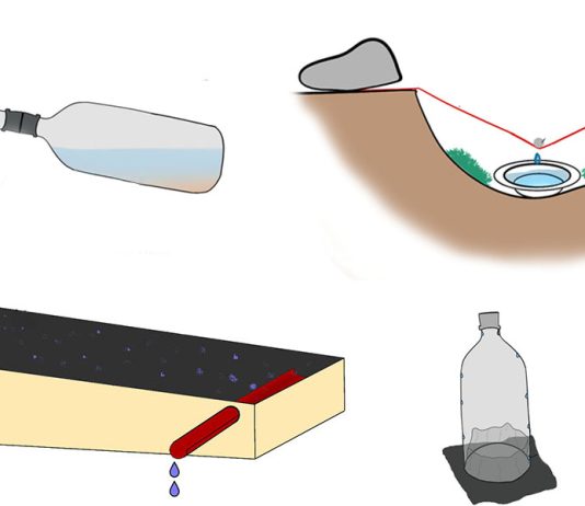 How to Make a DIY Solar Still (4 Ways)