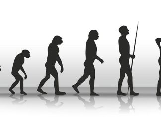 18 Ferocious Fighting Stick and Staff Weapons