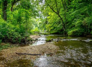 What You Need to Know