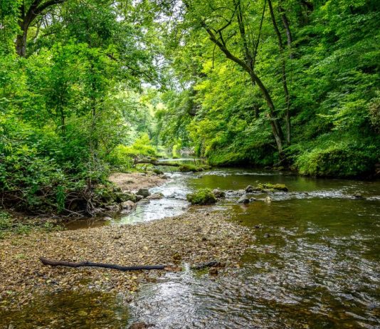 What You Need to Know