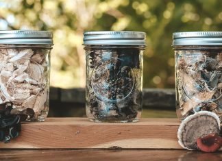 How to Dehydrate Mushrooms (Step by Step Instructions)