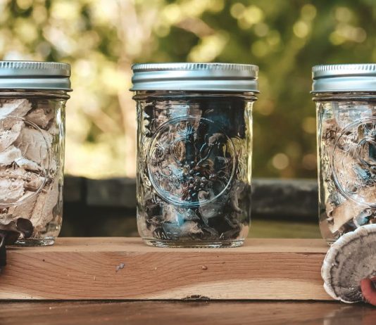 How to Dehydrate Mushrooms (Step by Step Instructions)