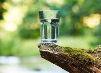 6 Of The Best Gravity Fed Water Filters (2023 Reviews and Comparison Table)