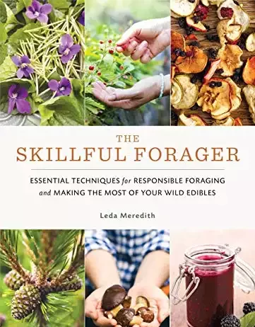 19 Best Foraging Books to Make an Expert Out of You