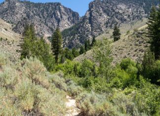 What You Need to Know