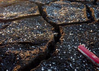 Victorinox vs. Wenger: Which Is Best?