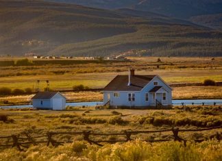 Best States for Homesteading – Top Places to Start a Homestead in the USA