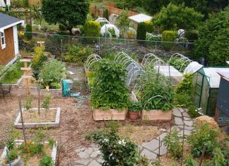 Homestead Layout Plans on 1 Acre or Less