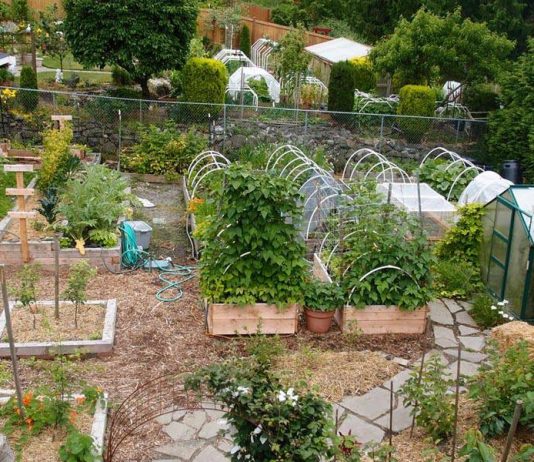 Homestead Layout Plans on 1 Acre or Less