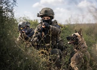 Creomagic to Provide Advanced Live Video and Communication Solution for Tier-1 Military K9 Unit