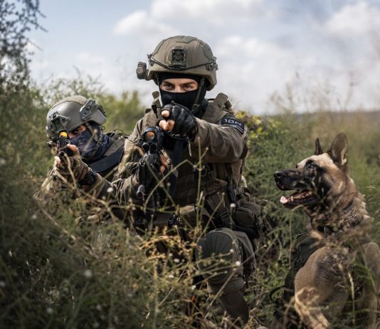 Creomagic to Provide Advanced Live Video and Communication Solution for Tier-1 Military K9 Unit