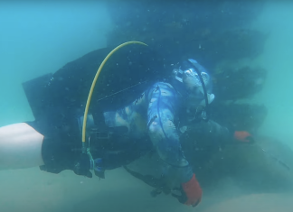 24 SOW Safety Manager Rescues Large Shark