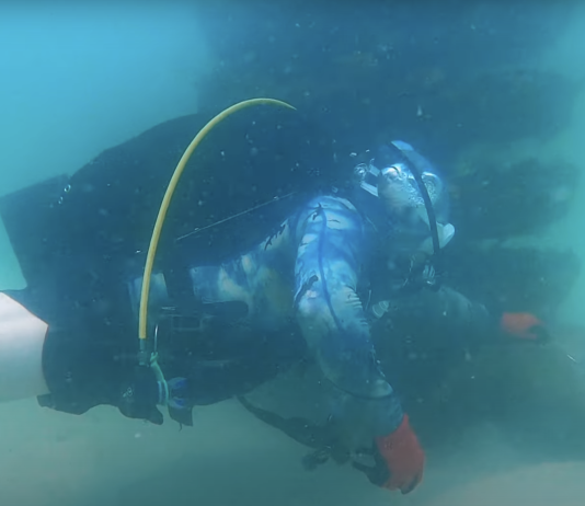 24 SOW Safety Manager Rescues Large Shark