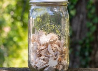 Top 5 Methods and Tips