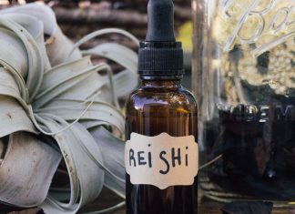 How to Make a Reishi Mushroom Tincture in 11 Simple Steps
