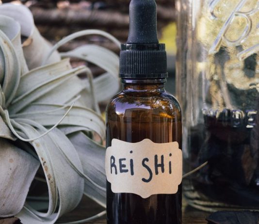 How to Make a Reishi Mushroom Tincture in 11 Simple Steps